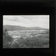 Böhl glass slide 32./2690